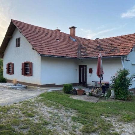 Zivahna Hisa Villa Sveti Jurij ob Scavnici Luaran gambar